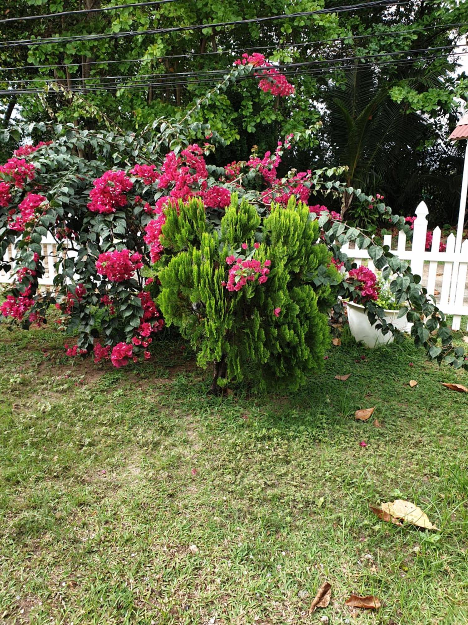 Villa Authentique La Digue Exterior foto